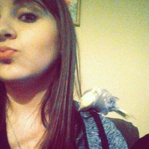 Meet your Posher, Berenice