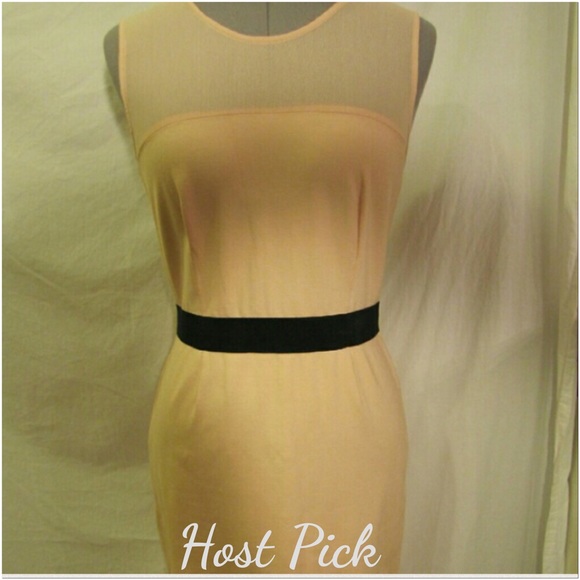 🆕Erin Fetherston»pink mesh dress - Picture 4 of 6