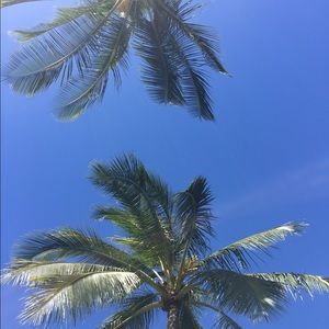 Meet your Posher, Annika