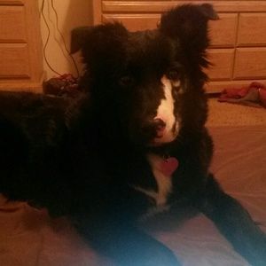 Meet your Posher, Cooter