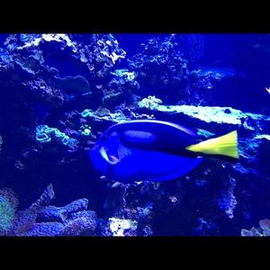 Meet your Posher, Kerri