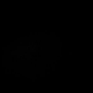 Meet your Posher, Bryon