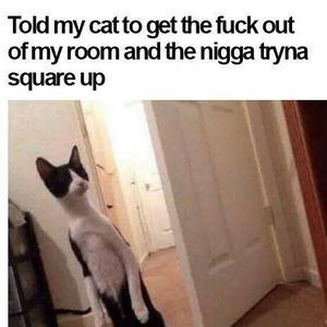 Meet your Posher, Jake