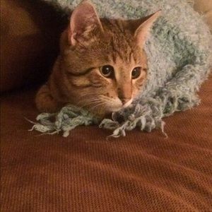 Meet your Posher, Stephanie