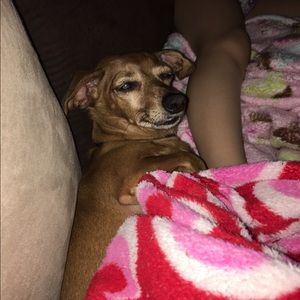 Meet your Posher, Mandee