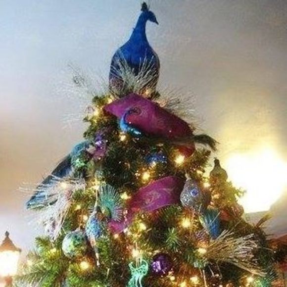 Meet your Posher, Eva - Picture 2 of 2