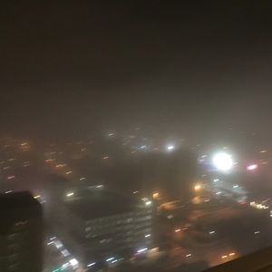 Meet your Posher, Riley