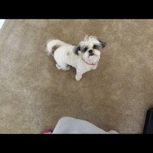 Meet your Posher, Regina