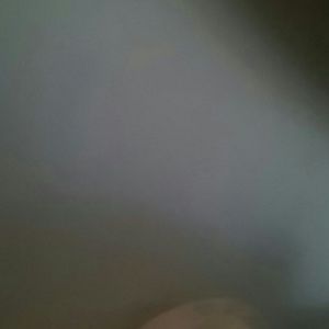 Meet your Posher, Tarisha