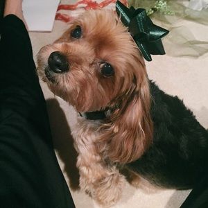 Meet your Posher, Alissa