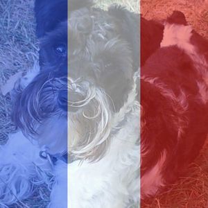 Meet your Posher, Debra