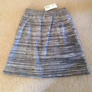 American Apparel A-Line Knit Skirt