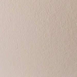 Meet your Posher, Alannah