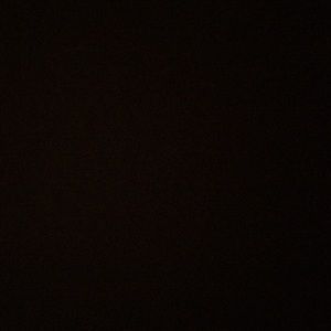 Meet your Posher, Carly