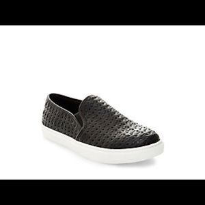 Steve Madden Excel Sneakers in black