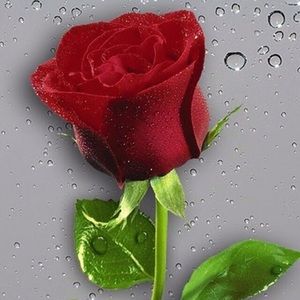 Meet your Posher, Cyndi