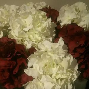 Meet your Posher, Silvia