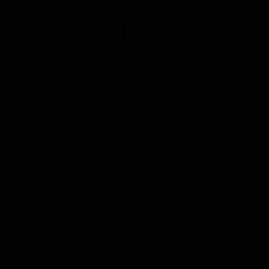 Meet your Posher, Carmella