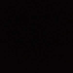 Meet your Posher, Dalia