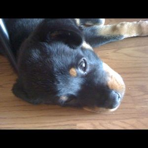 Meet your Posher, Lynn