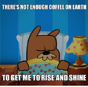 Meet your Posher, Halle