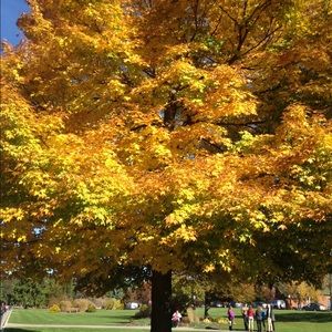 Meet your Posher, Rafa