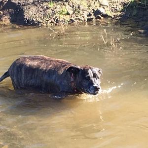 Meet your Posher, Angie