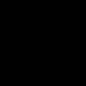 Meet your Posher, Roberta