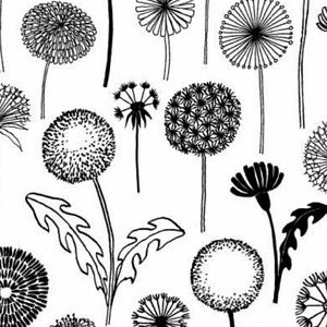 Meet your Posher, Macey