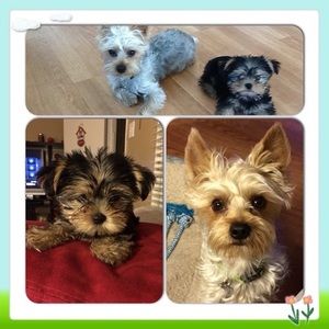 Meet your Posher, Sergio