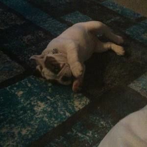 Meet your Posher, Ramon