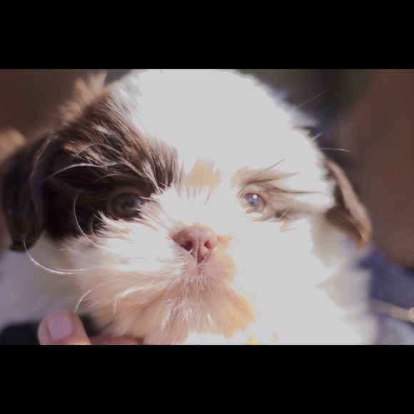 Meet Your Posher, Tyler! - Picture 4 of 4