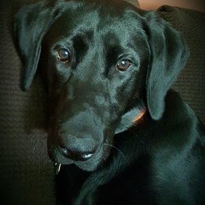 Meet your Posher, Meghann