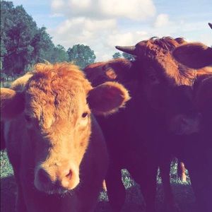 Meet your Posher, Hailey