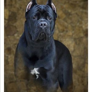 Meet your Posher, Kassie