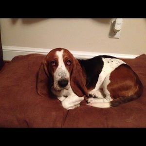 Meet your Posher, Breanna