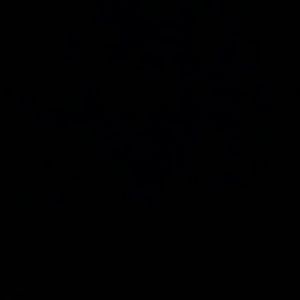 Meet your Posher, Jackson