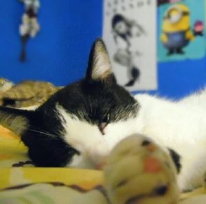 Meet your Posher, Naxiely