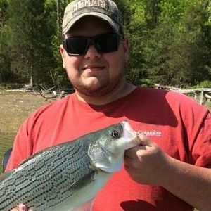 Meet your Posher, Peyton