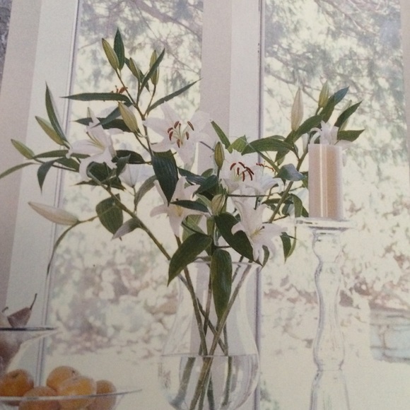 Meet your Posher, Lida