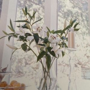 Meet your Posher, Lida