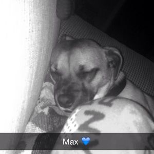 Meet your Posher, Abby