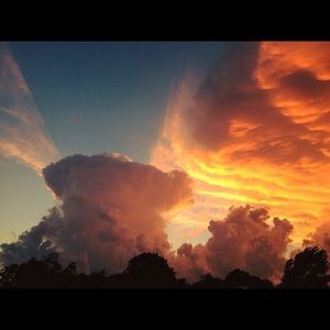 Meet your Posher, Arielle