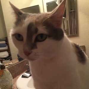 Meet your Posher, Kara