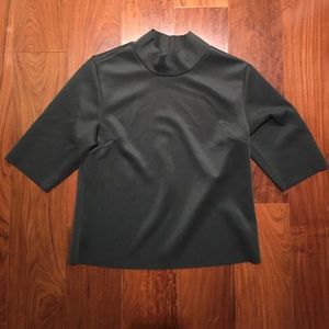 Zara Mockneck Crop Top