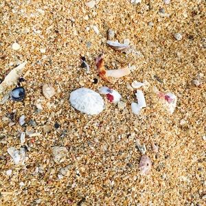 Meet your Posher, Lizbeth