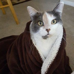 Meet your Posher, Chris