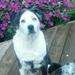 Meet your Posher, Rita