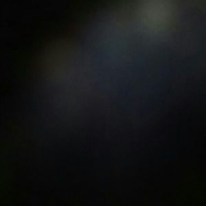 Meet your Posher, Ginger