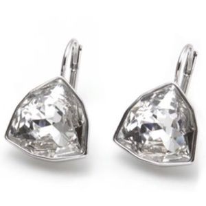 Brief Pierced Earrings